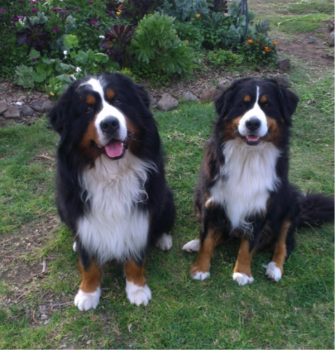 Rosie and Taiten