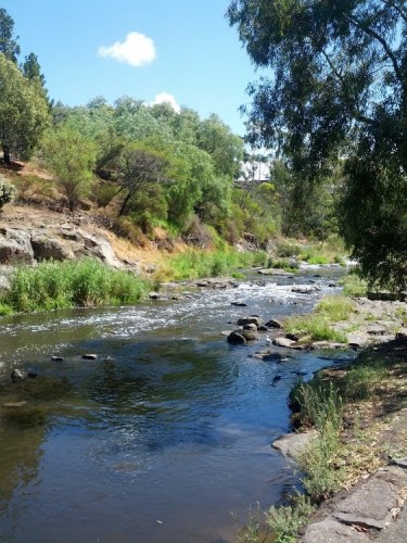 Merri-Creek