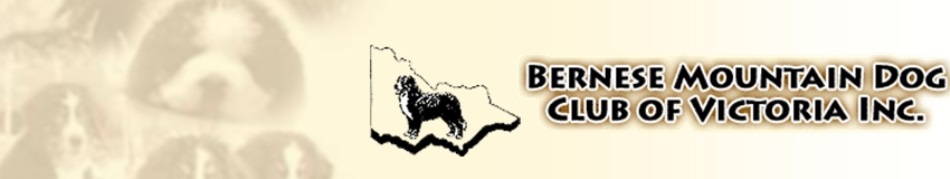 Bernese Mountain Dog Club of Victoria Inc.
